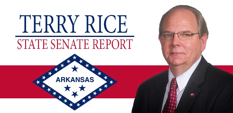 Terry-rice-arkansas-politics-little rock-senator-senate