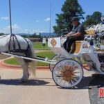 Weekly News from Waldron Nursing Home