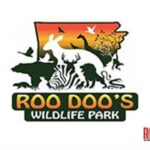 Roo Doo Wildlife Park offer youth camps in July