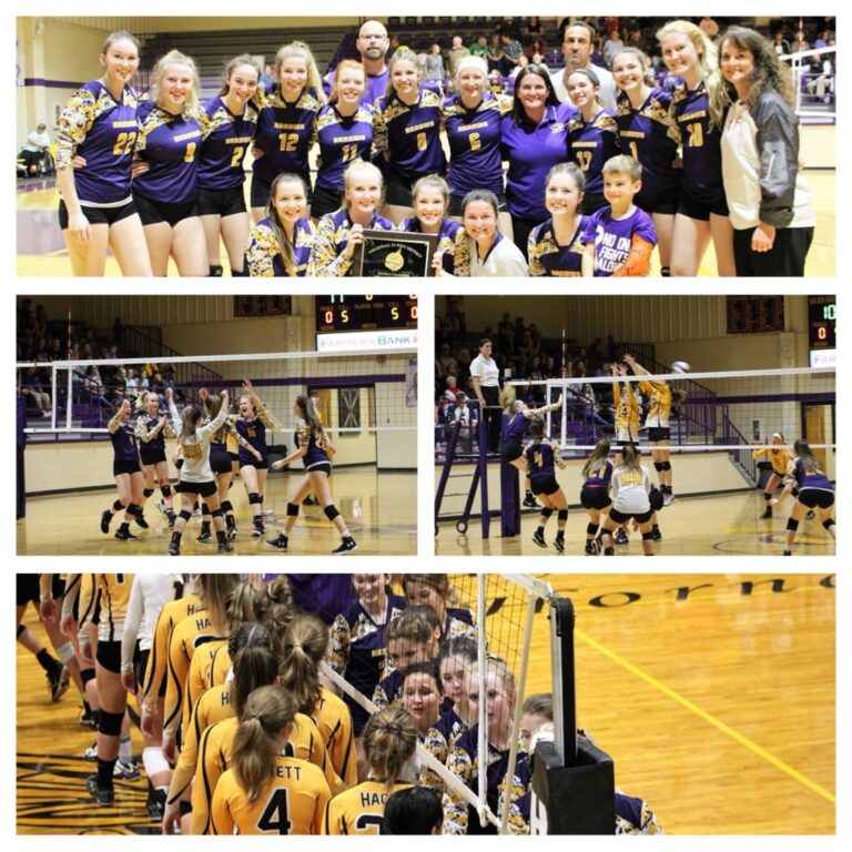 Go Lady Arrows!!!    Take State!!!