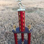 mansfield little league trophy