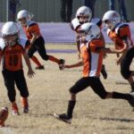waldron peewee football