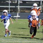 waldron peewee football