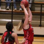 mansfield lady tigers basketball