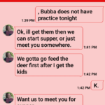 Text