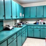 lab
