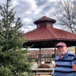 Mansfield tree lighting ceremony