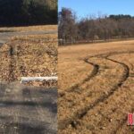 Mansfield City Lake Park vandalized.