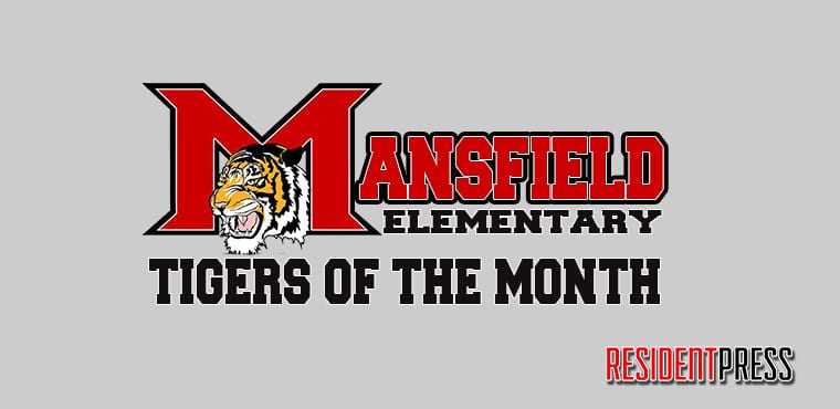 mansfield-elementary-education