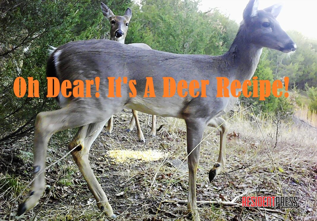 Deer-Deer Meat Recipes-Deer Recipes-Venison Recipes-Hunter Recipes