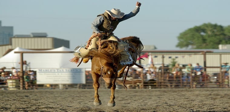 cowboy-rodeo
