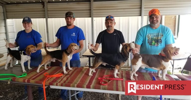Cedarville Beagle Club Going Strong in Year Two