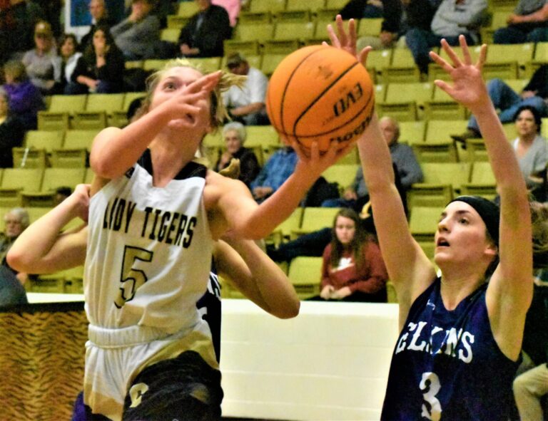 District Champions Tigers and Lady Tigers Prepare for District Tournament Week