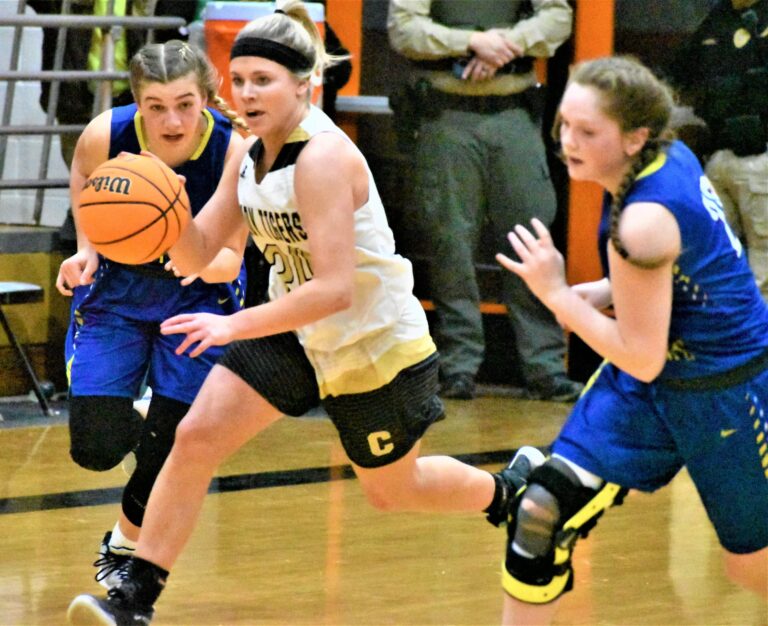Charleston Defeats Bergman in Regionals; Lady Tigers Advance to State Tournament