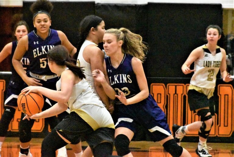Class 3A-1 Boys & Girls Regional Basketball Tournament Preview