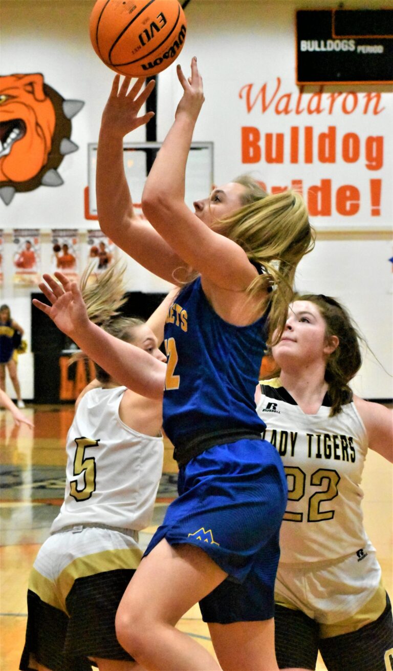 Mountain View Defeats Charleston Lady Tigers in Regional Semifinal