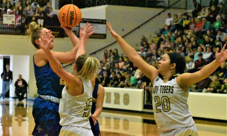 Top Ranked Mountain View Lady Yellow Jackets Punch Ticket for Hot Springs State Championship Final