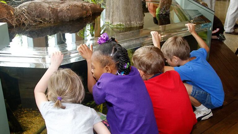 Turn Spring Break Into a Nature Break With AGFC