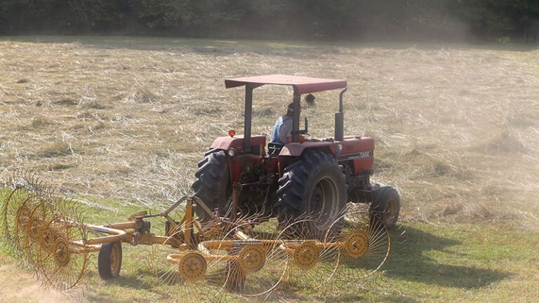 Freeze, drought effects on pastures have some ranchers reaching into hay reserves 
