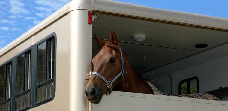 Safety Tips for Your Horse Trailer