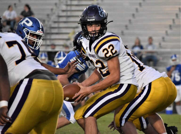 AAA: All Football Teams in a Conference May Qualify for Playoffs Due to COVID-19