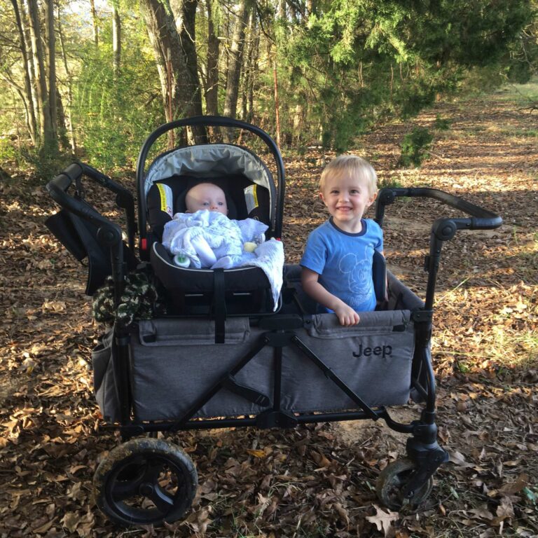 Wagon Adventures