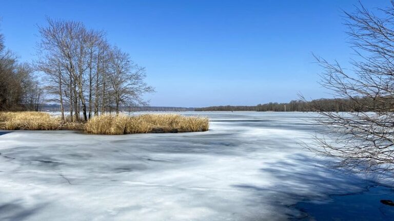 Lakes Likely to Bounce Back From Frozen Fish