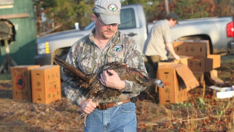 Majors, Mitchell Honored with NWTF Annual Awards