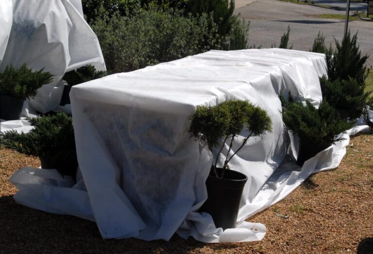 As Cold Front Nears, Experts Urge Homeowners to Cover Plants