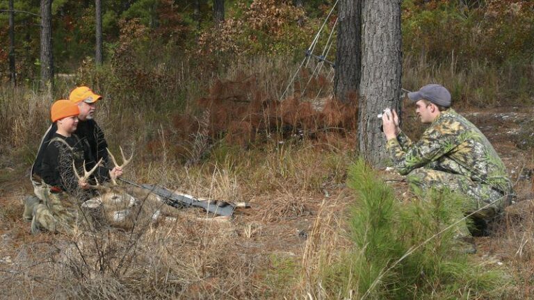 Boost the Wildlife Potential of your Hunting Property