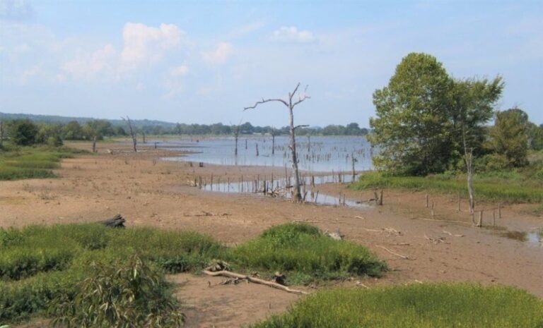 AGFC to Lower Water Level of Lake Jack Nolen