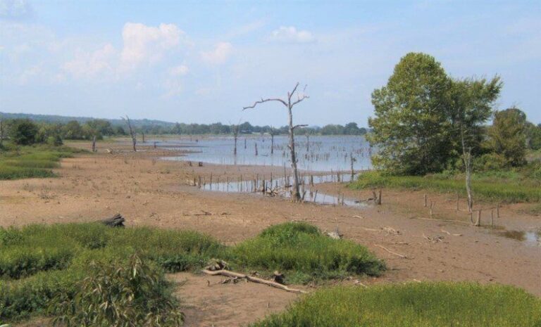 AGFC to Lower Water Level of Lake Jack Nolen