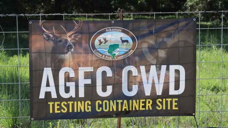 Get Your Deer Tested for CWD