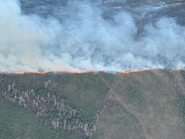 Reminders about Safe Prescribed Burning and Smoke Management