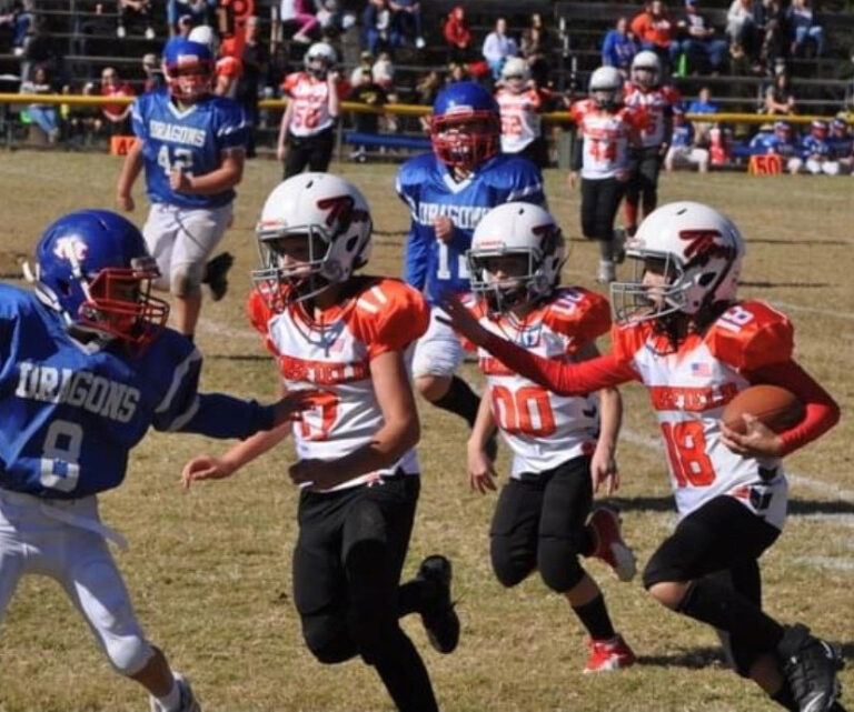 Little League Tigers Conclude Great Season