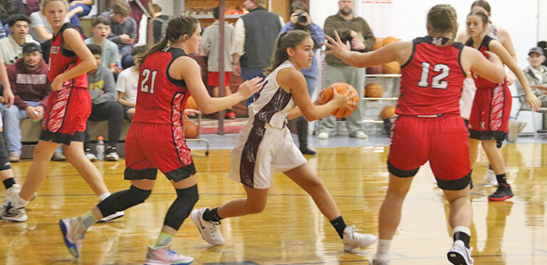 Wolverines Corner Lady Tigers