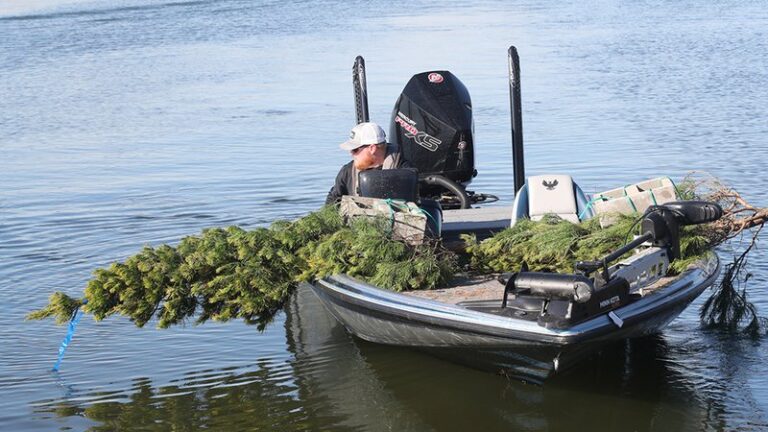 Used Christmas trees needed for AGFC’s Habitat for the Holidays program