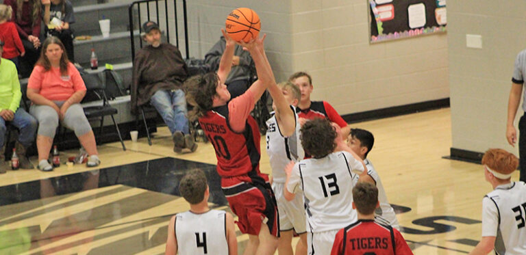 JR Tigers Grounded By Soaring Eagles