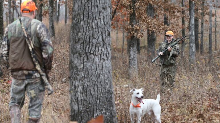 The Dog Days of Squirrel Season