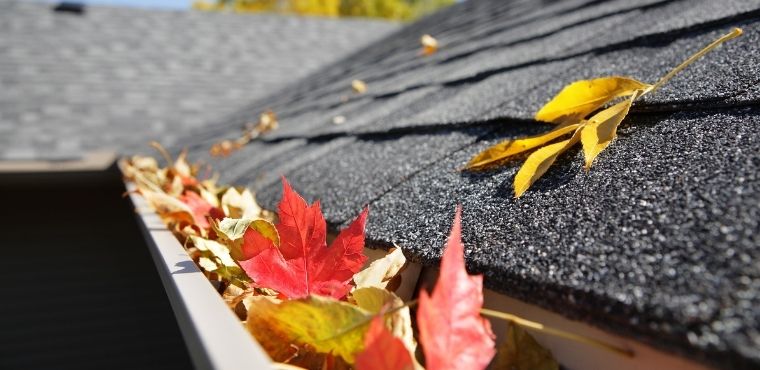 Why Keeping Your Roof in Good Shape Is Essential