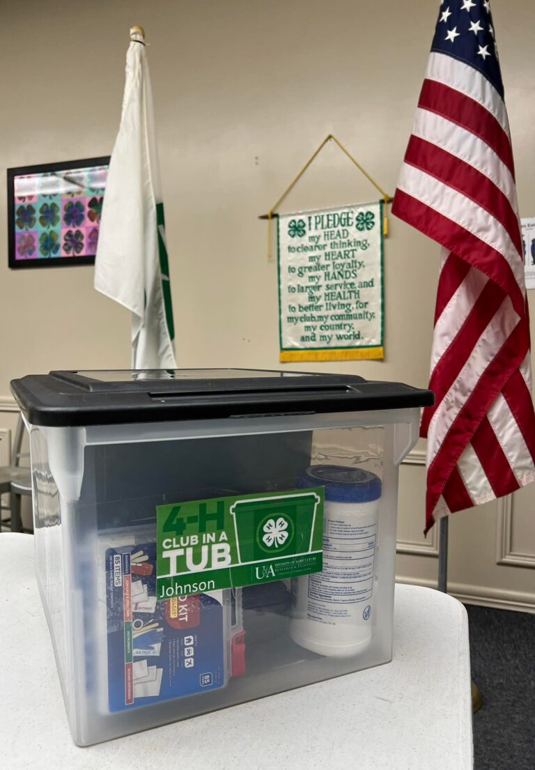 ‘Club in a tub’ program provides resources for new and returning 4-H club leaders