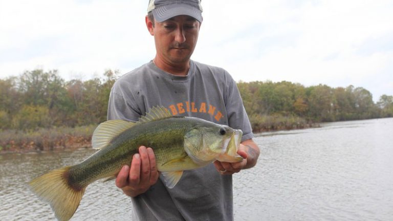AGFC, PRADCO team up for online bass fishing seminar series