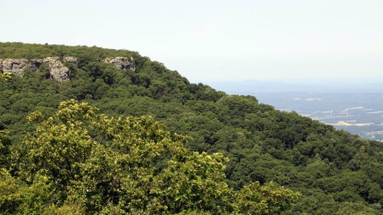 Mount Magazine WMA is a little of everything
