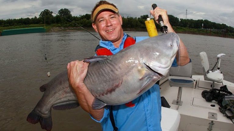 Stinky stuff! Catfish Baits that Reek of Success￼