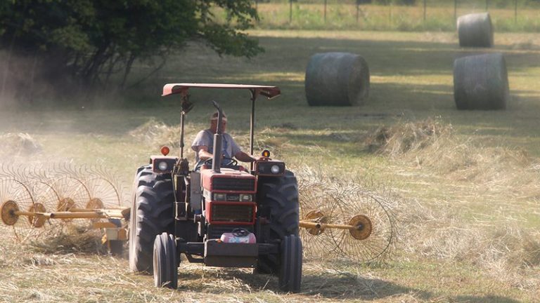 Haying your Pasture with an Eye for Wildlife