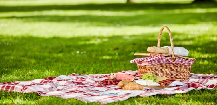 Wasteful Foods To Avoid Bringing On a Picnic