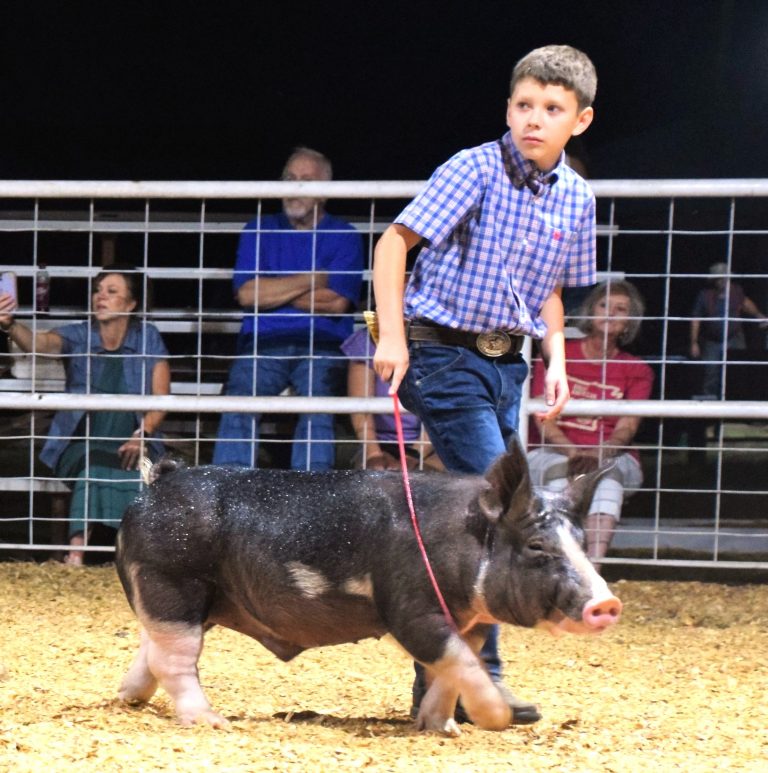 County Line High School FFA & 4-H Students Begin County Fairs Season Competitions