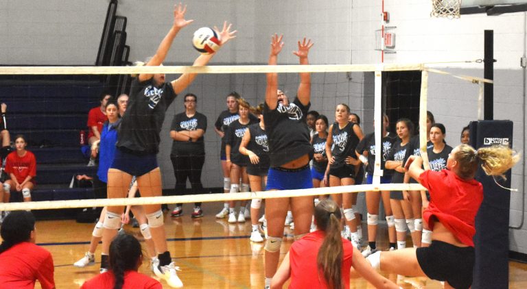 Lady Eagles Volleyball to Host Three Matches Next Week at Paris Gymnasium