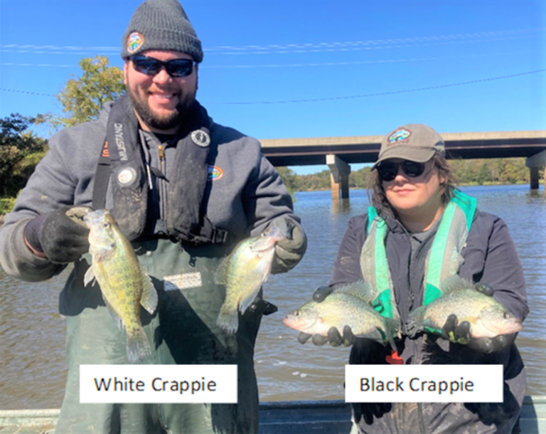 Around the Boathouse: Lake Dardanelle