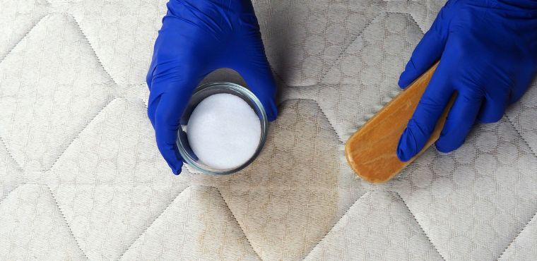 Tips for Cleaning the Most Common Household Stains